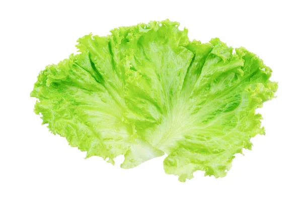 Lettuce Salad Leaf Isolated White Background Clipping Path — Stock Photo, Image