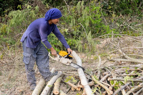 Tahta testereli oduncu demirhindi ağacı gövdesi kesiyor. Elektrikli testere dalı kesiyor.