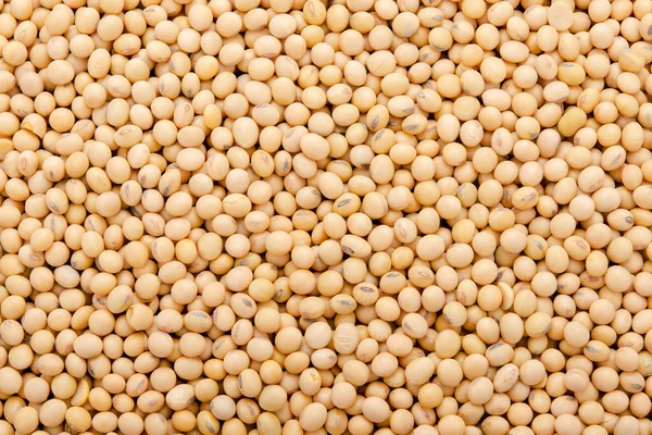 Soybean Pattern Backgroun — Stock Photo, Image