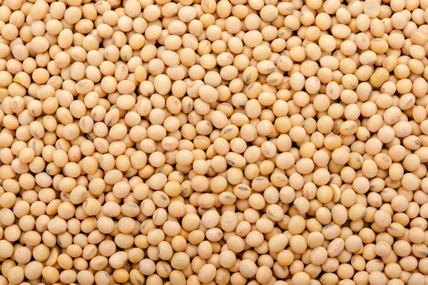 Soybean Pattern Backgroun — Stock Photo, Image