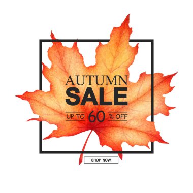 Beyaz zemin üzerinde suluboya akçaağaç yaprağı bulunan sonbahar satışı vektör afişi. Reklam, promosyon, broşür, davetiye, kart, poster, web sitesi tasarımı