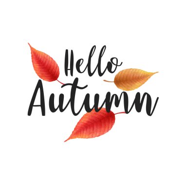 Suluboya yapraklı vektör illüstrasyonu ve beyaz arka planda izole edilmiş Hello Autumn harfleri çizilmiş. Kart, broşür, davetiye, promosyon, poster tasarımı