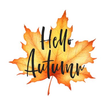 Akçaağaç yaprağı ve el yazısı olan vektör illüstrasyonu beyaz arka planda izole edilmiş Hello Autumn harfleri çiziyor. Kart, broşür, davetiye, promosyon, poster tasarımı
