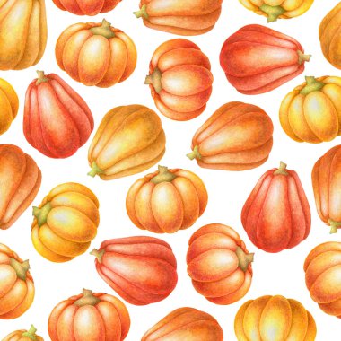 Beyaz arka planda izole edilmiş elle çizilmiş renkli balkabaklarıyla kusursuz suluboya deseni. Tekstil, baskı, kart, davetiye, ev dekorasyonu, duvar kağıdı, kumaş için sonbahar illüstrasyonu