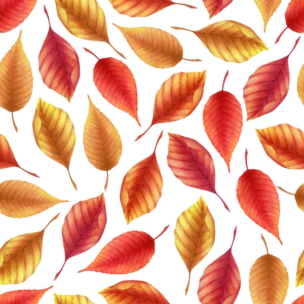 Бесшовный Акварельный Узор Нарисованными Вручную Осенними Листьями Выделенными Белом Фоне — стоковое фото