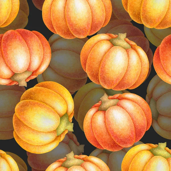 Elle çizilmiş renkli balkabakları olan kusursuz suluboya deseni siyah arka planda izole edilmiş. Tekstil, baskı, kart, davetiye, duvar kağıdı, kumaş, ev dekorasyonu için sonbahar illüstrasyonu