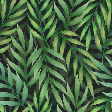 Suluboya elle çizilmiş kusursuz tropik desenler ve siyah arka planda izole edilmiş palmiye yaprakları. Tekstil tasarımı için botanik illüstrasyon, baskı, kumaş, duvar kağıdı