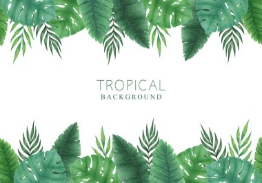 El yapımı canavarlı suluboya resimleri ve beyaz arka planda izole edilmiş palmiye yaprakları ve dalları. Davetiye, poster, kart, baskı, duvar kağıdı için tropik bitki arka plan tasarımı