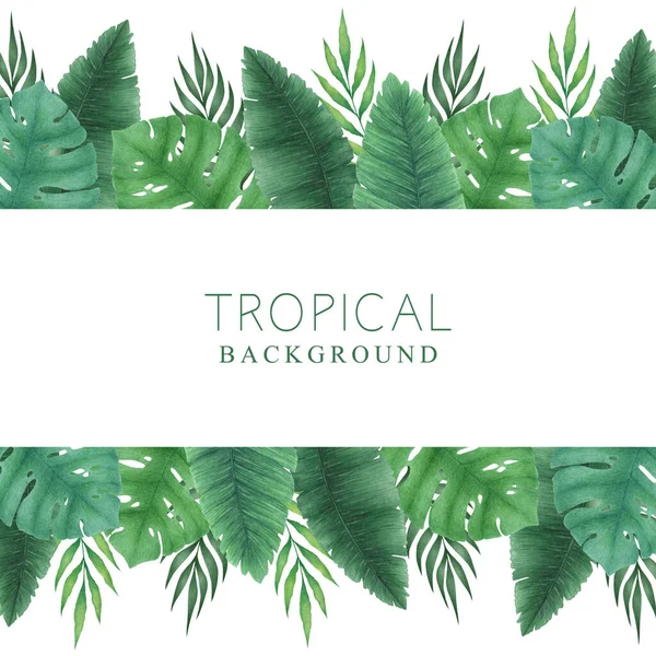 Watercolor Illustration Hand Drawn Monstera Palm Leaves Branches Isolated White — Stock Photo, Image