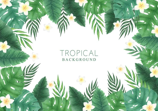 Acuarela Ilustración Con Monstera Dibujada Mano Hojas Palma Ramas Aisladas — Foto de Stock