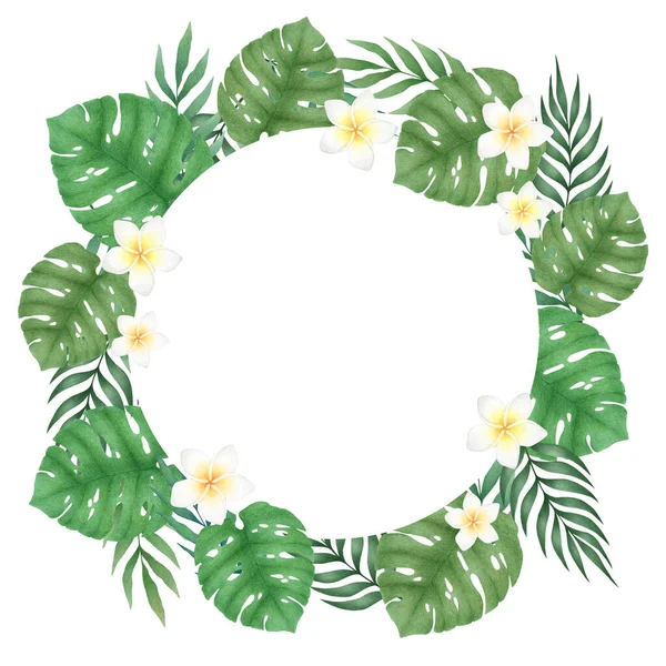 Beyaz arka planda izole edilmiş canavar yapraklarından ve palmiye dallarından elde çizilmiş suluboya resimleri. Davetiye, poster, baskı, kart için tropik tasarım