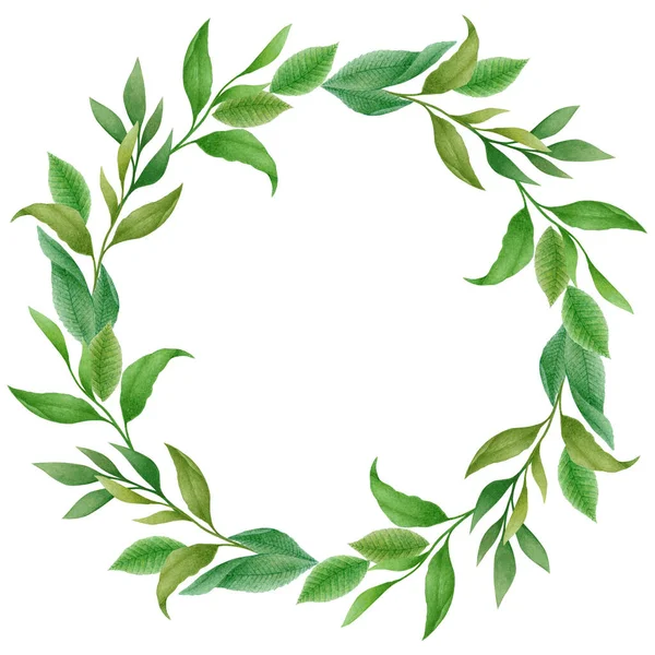 Beyaz arka planda izole edilmiş yeşil yapraklardan ve dallardan elde çizilmiş çiçek çelenkleriyle suluboya resimleri. Düğün davetiyesi, poster, tebrik kartı için botanik tasarım çerçevesi