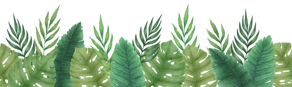 Watercolor Illustration Seamless Border Hand Drawn Monstera Leaves Palm Branches — Stock Photo, Image
