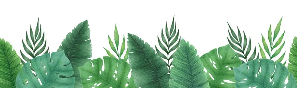 Watercolor Illustration Seamless Border Hand Drawn Monstera Leaves Palm Branches — Stock Photo, Image