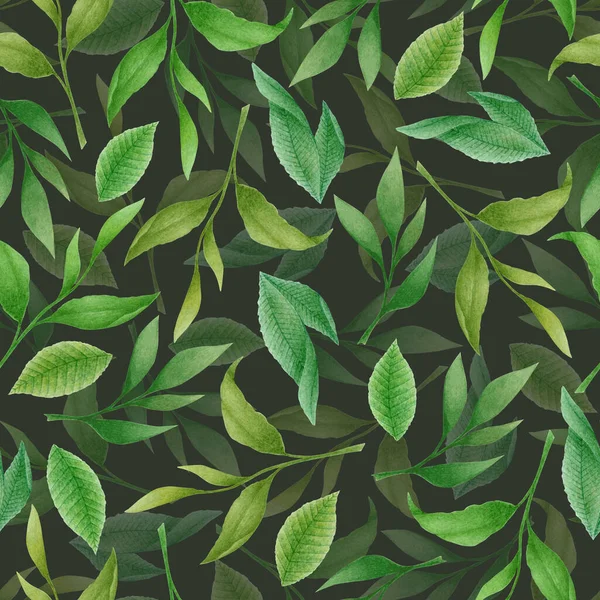 Yeşil elli suluboya desenli çay yaprakları ve siyah arka planda izole dallar. Tekstil tasarımı için botanik illüstrasyon, baskı, kumaş, duvar kağıdı