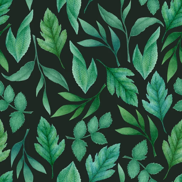 水彩画无缝图案 手绘蓝色绿叶和分枝隔离在黑色背景 用于设计 纺织品的植物学图解 — 图库照片