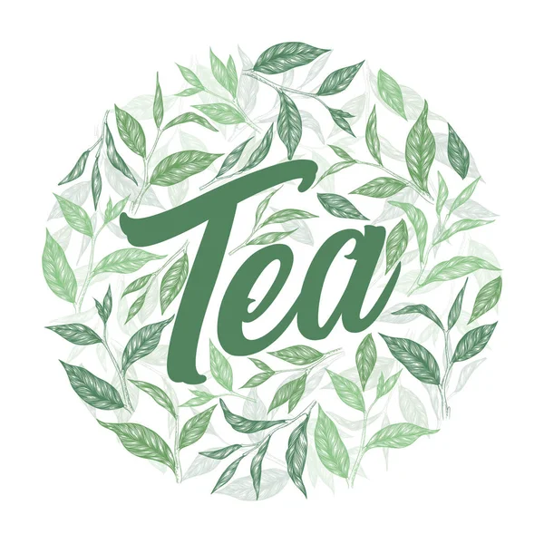 Tea Hand Written Lettering Logo Green Tea Leaves Branches Isolated — Stock Vector