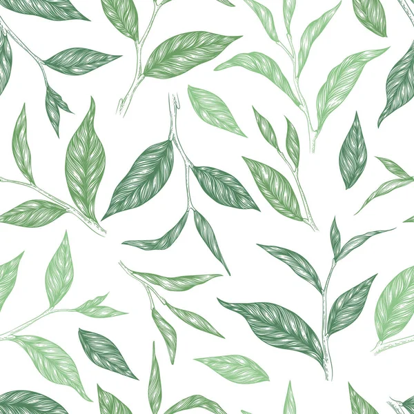 Векторный Бесшовный Узор Зелеными Ручными Листьями Чая Ветвями Выделенными Белом — стоковый вектор
