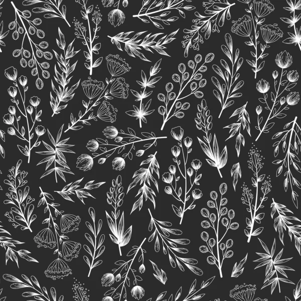 Naadloos Zwart Wit Vectorpatroon Met Handgetekende Bloemen Takken Bladeren Kruiden — Stockvector