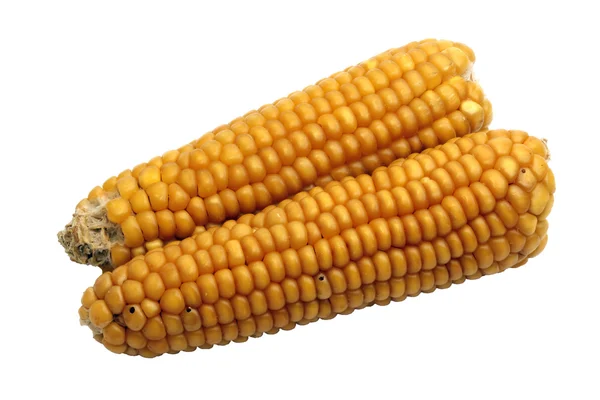 izole corncobs