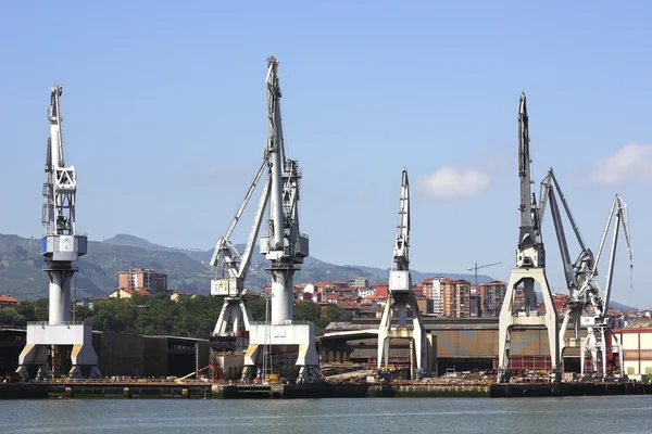 Endüstriyel Vinçler