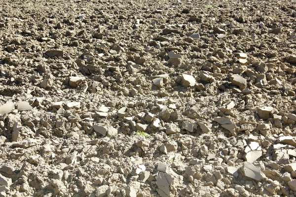 kuru, plonlanmış zemin