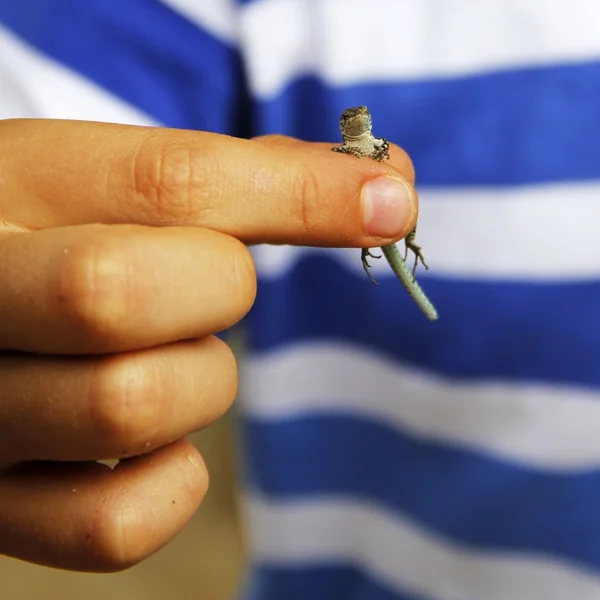 Çocuk elinde küçük kertenkele