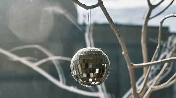 Diskobol beyaz uzun dalda 