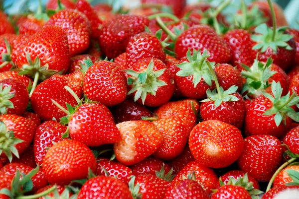 Daireler dokular için arka plan veya zemin kavramı