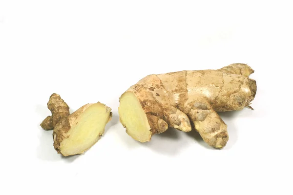 Ginger — Stock Photo, Image