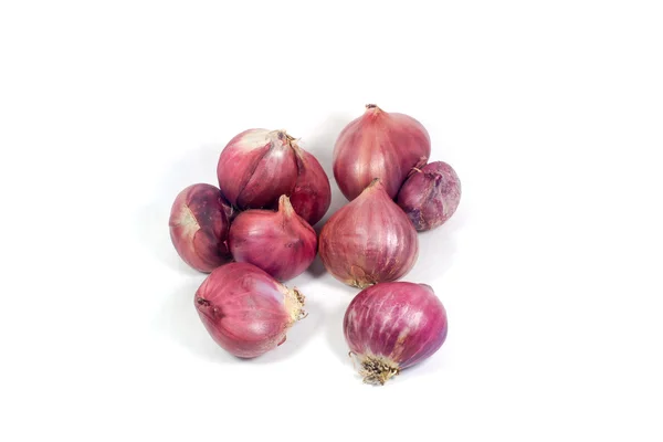 Bombilla de cebolla roja aislada sobre fondo blanco recorte — Foto de Stock