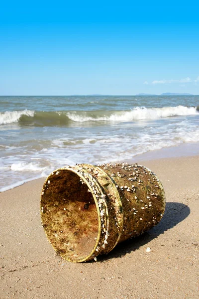 Goose barnacles attached to plastic bucket on a beach with blue sky — Stock Photo, Image