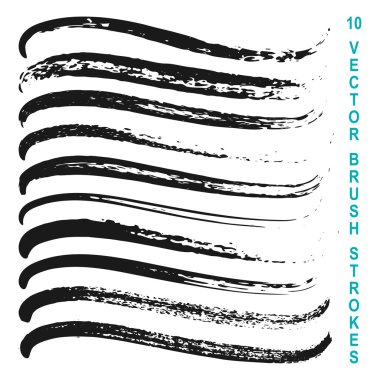 10 vektör grungy sanatsal fırçaların kümesi.