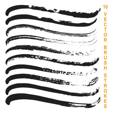 10 vektör grungy sanatsal fırçaların kümesi.