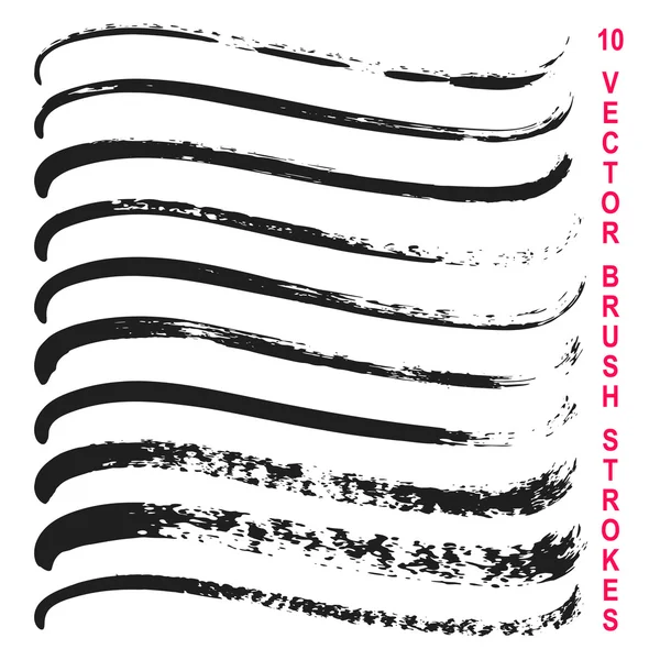 10 vektör grungy sanatsal fırçaların kümesi.