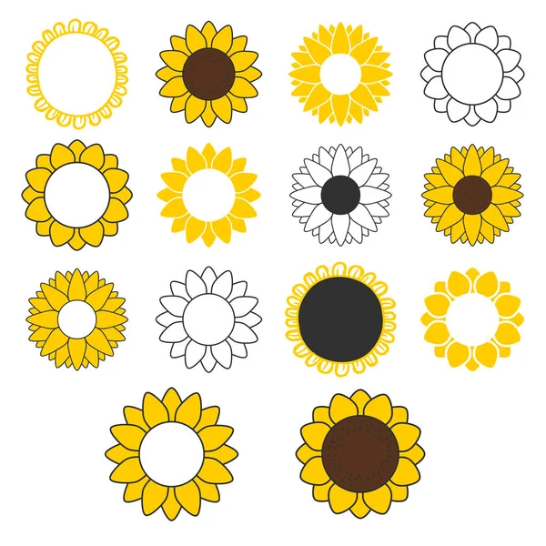 Un paquet de tournesol. Fleurs jaunes plates sur blanc Graphismes Vectoriels