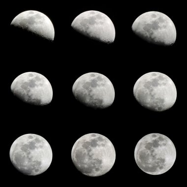 Siyah arka plan üzerine izole 9 Hilal silüeti