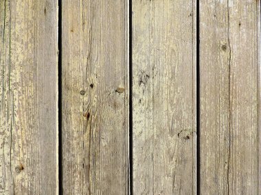 Doğal ahşap dokusu