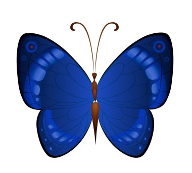 Dekorasyon parlak kelebek