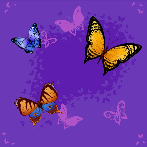 Mariposas brillantes voladoras — Vector de stock