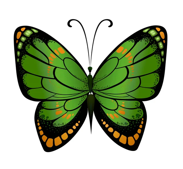 Dekorasyon parlak kelebek — Stok Vektör
