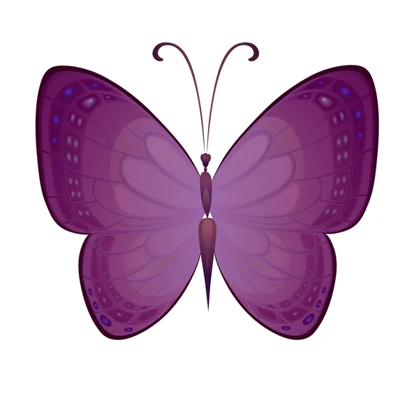 Decoración Brillante mariposa — Vector de stock