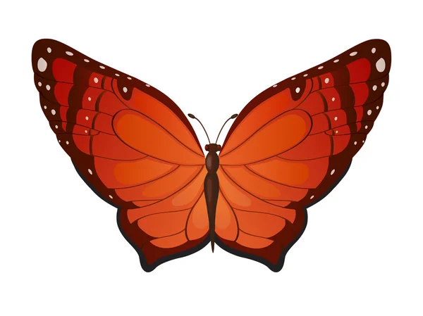 Πεταλούδα φωτεινή διακόσμηση — Διανυσματικό Αρχείο