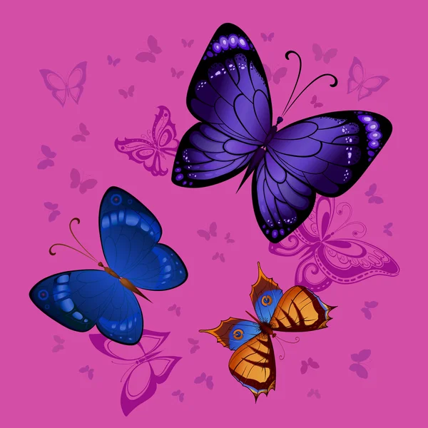 Mariposas brillantes voladoras — Vector de stock