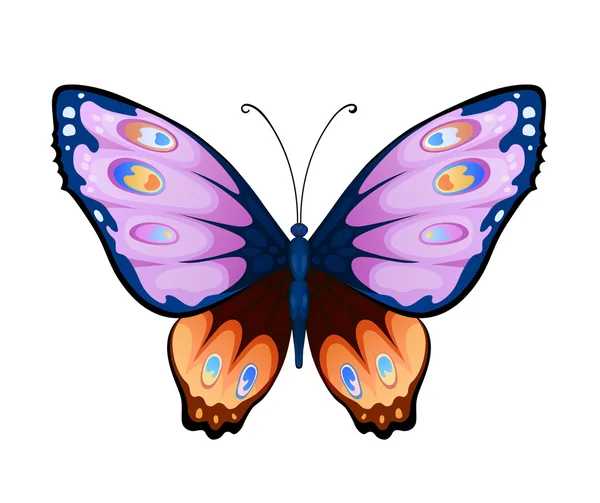 Beautiful colorful butterfly — Stock Vector