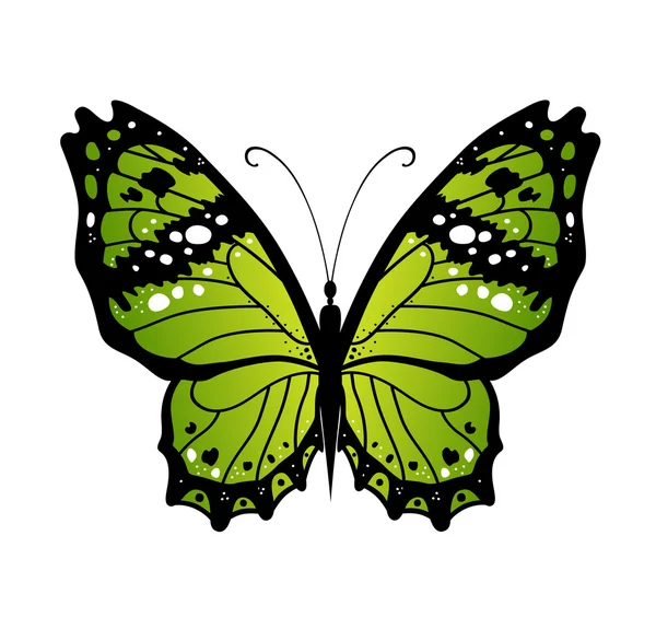 Leuchtende Farbe Schmetterling — Stockvektor