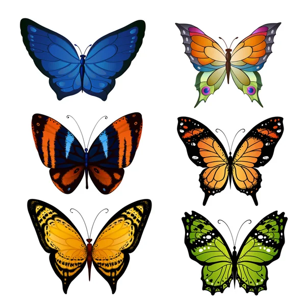 Conjunto de mariposas brillantes para el diseño de decoración — Archivo Imágenes Vectoriales