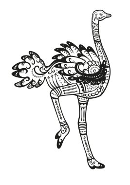 Devekuşu kuş desen