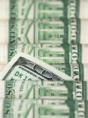 Yüz dolar diğer faturalar arasında