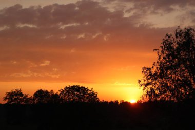 Tarlada gün batımı
